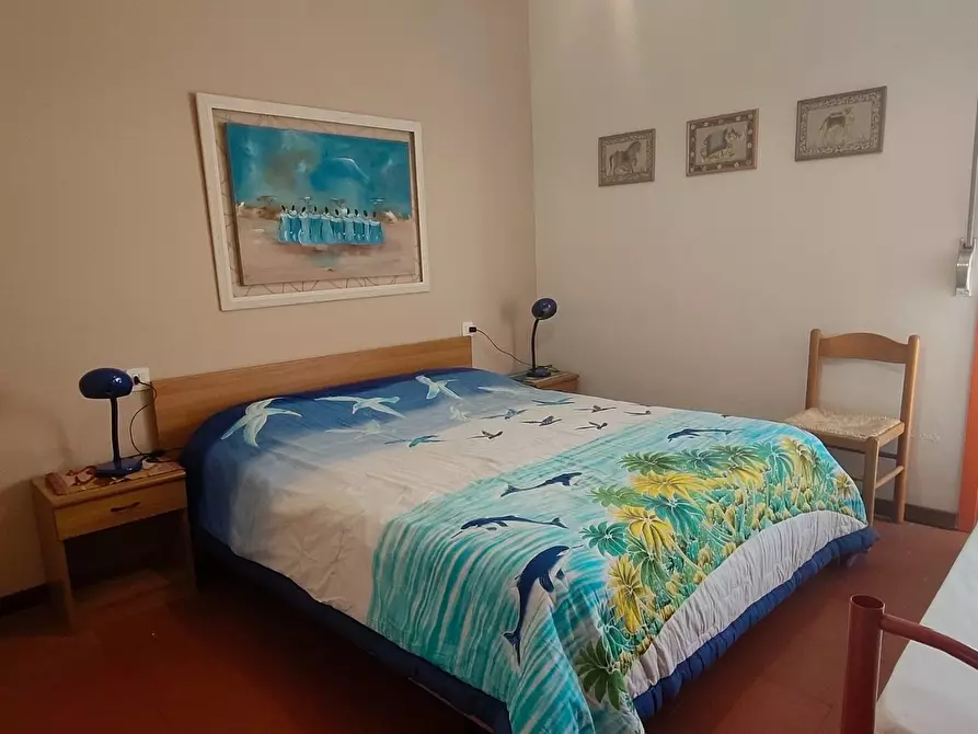 Immagine 11 di Appartamento in affitto  a San Vincenzo