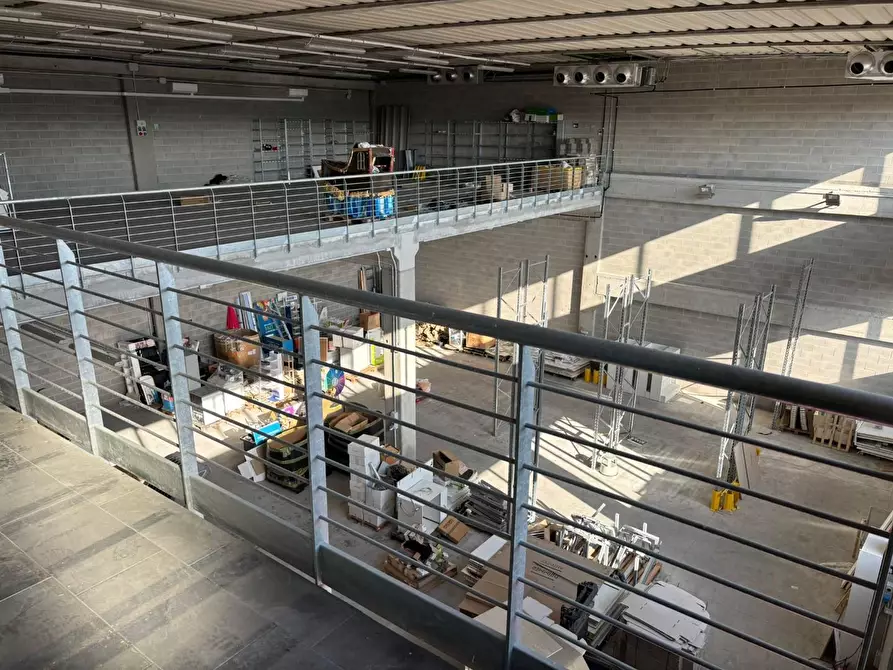 Immagine 4 di Attività artigianale in vendita  a Vecchiano