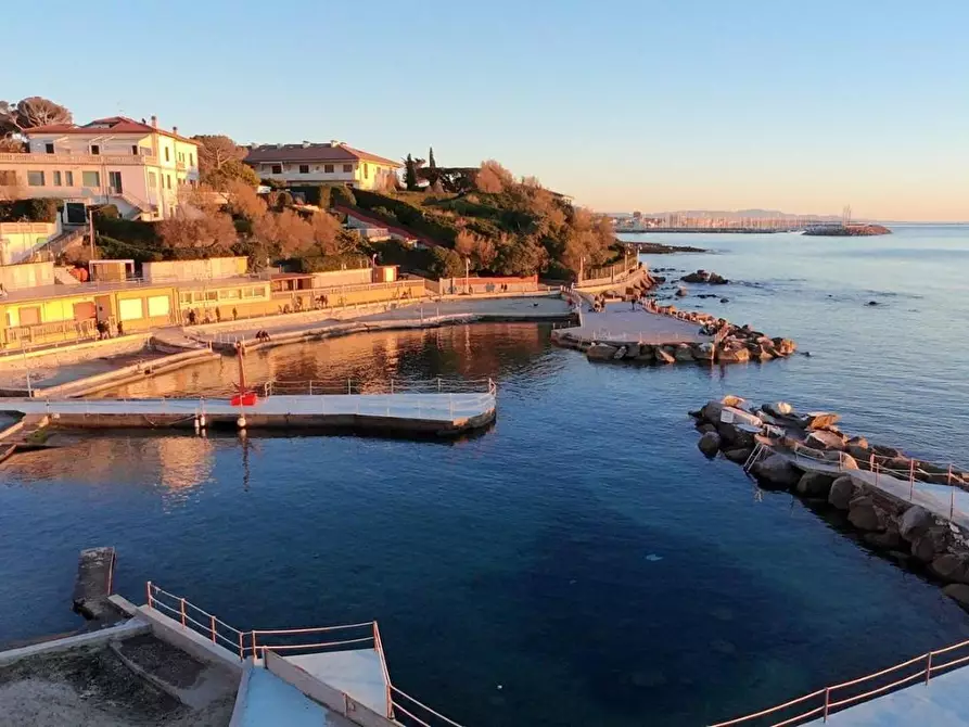 Immagine 28 di Appartamento in vendita  a Rosignano Marittimo