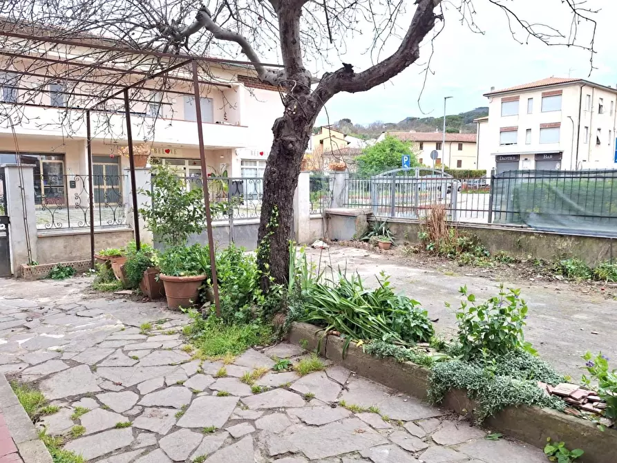 Immagine 21 di Appartamento in vendita  a Vicopisano