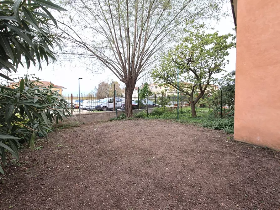 Immagine 22 di Appartamento in vendita  a Vicopisano