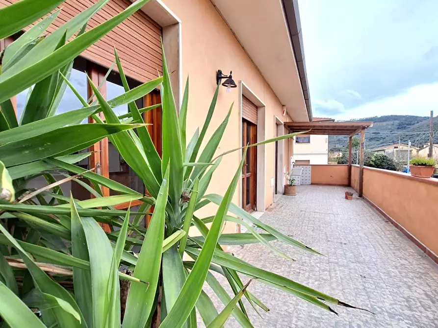 Immagine 1 di Appartamento in vendita  a Vicopisano