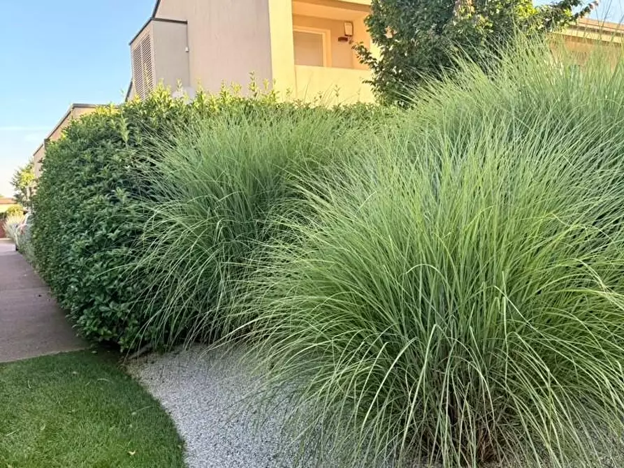 Immagine 6 di Porzione di casa in vendita  a Castelfranco Veneto