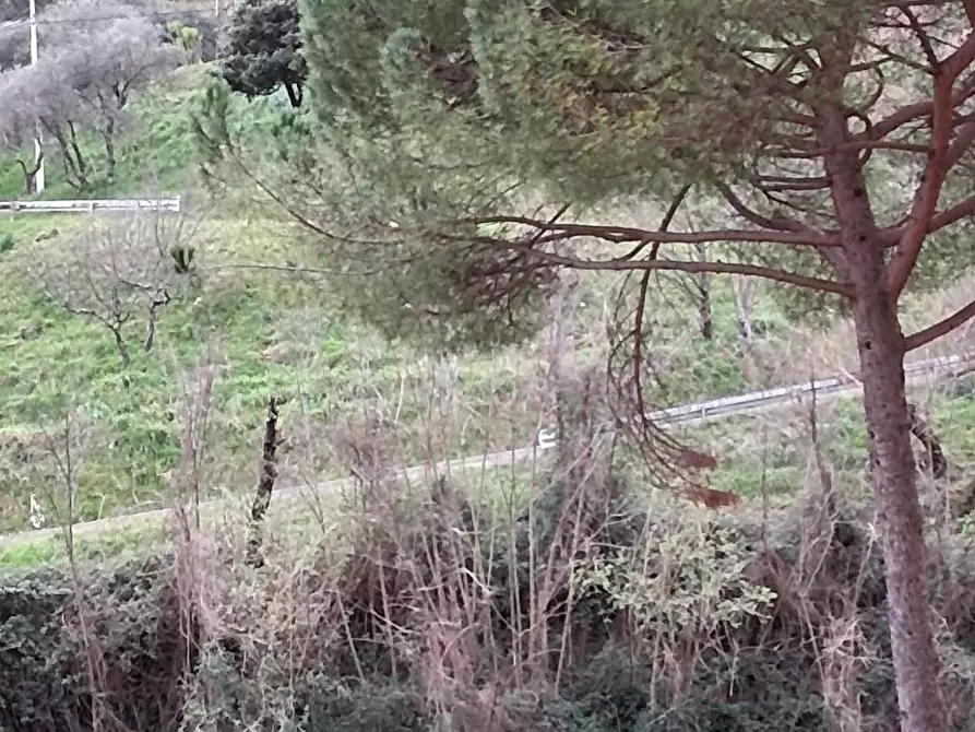 Immagine 12 di Appartamento in vendita  a Arcola