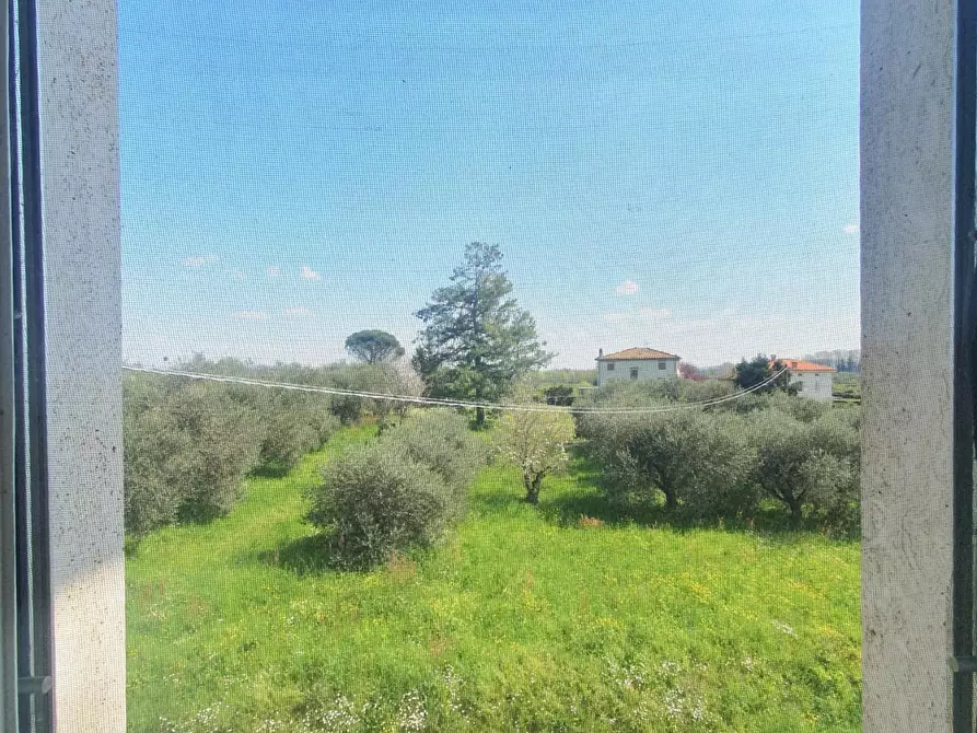 Immagine 27 di Casa semindipendente in vendita  a Capannori