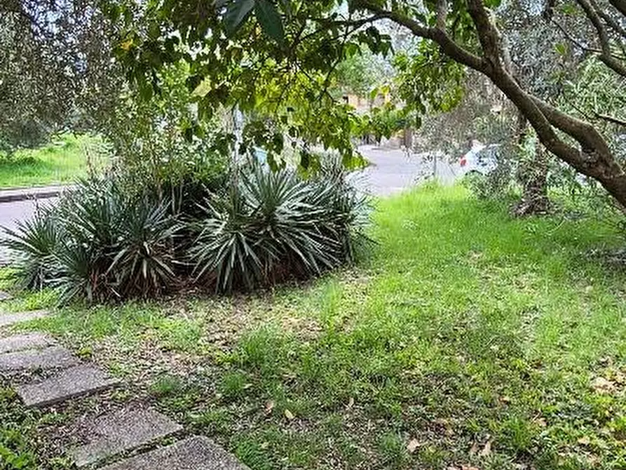 Immagine 3 di Villetta a schiera in vendita  a Calci