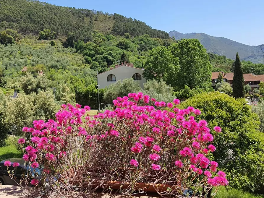 Immagine 1 di Villetta a schiera in vendita  a Calci