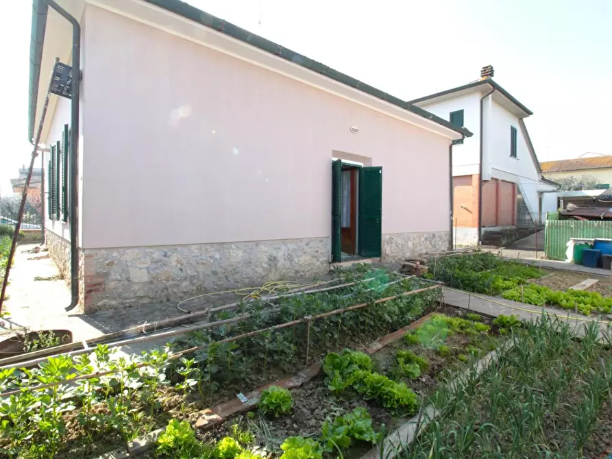 Immagine 30 di Villa in vendita  a Capannoli