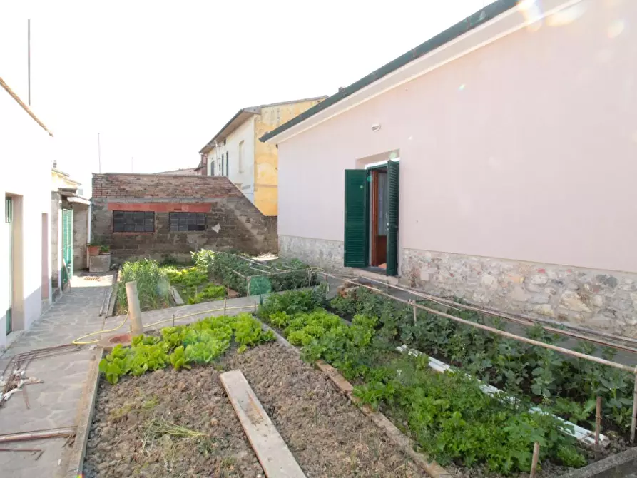 Immagine 29 di Villa in vendita  a Capannoli