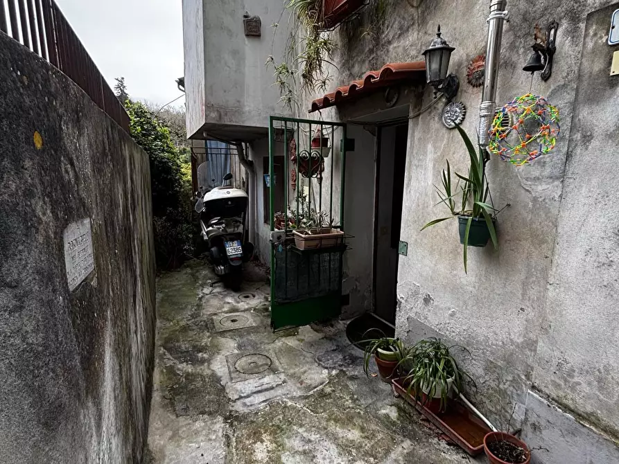 Immagine 18 di Terratetto in vendita  a Vicopisano