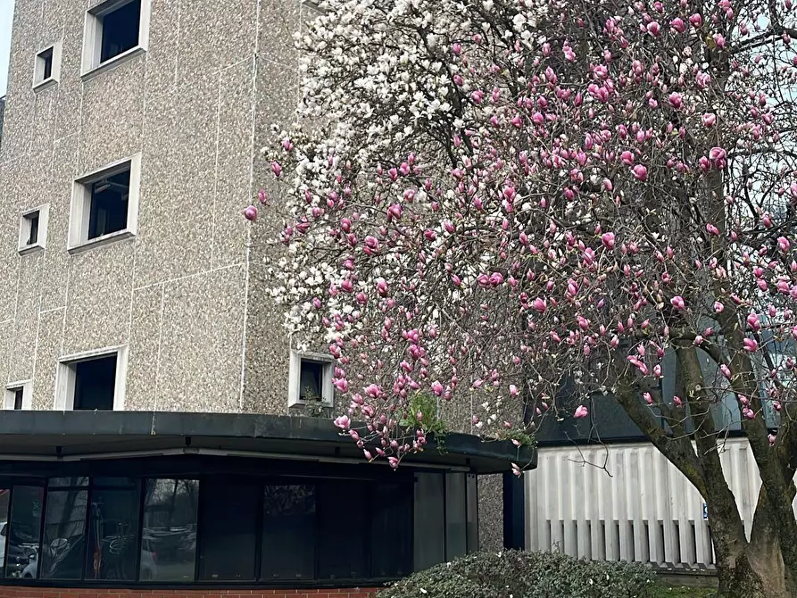 Immagine 2 di Ufficio in vendita  a Rozzano