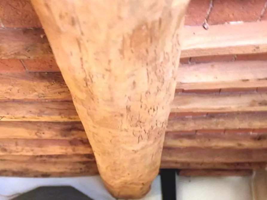 Immagine 5 di Appartamento in affitto  a Buti