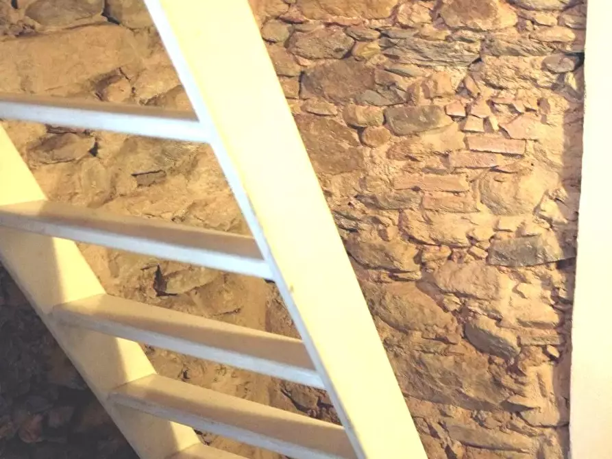 Immagine 4 di Appartamento in affitto  a Buti