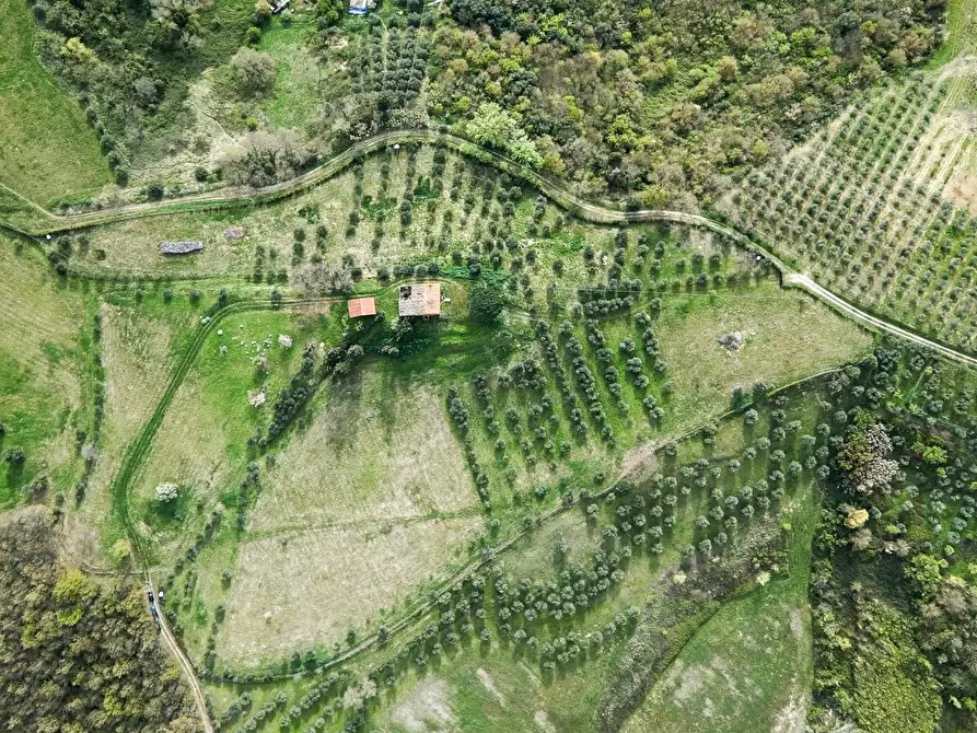 Immagine 2 di Rustico / casale in vendita  a Fucecchio