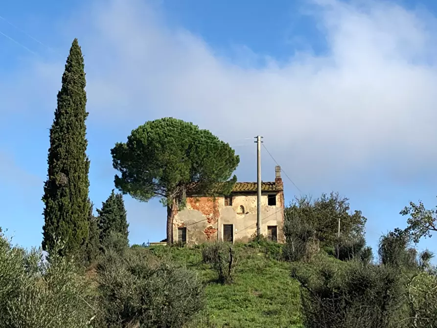 Immagine 37 di Rustico / casale in vendita  a Fucecchio
