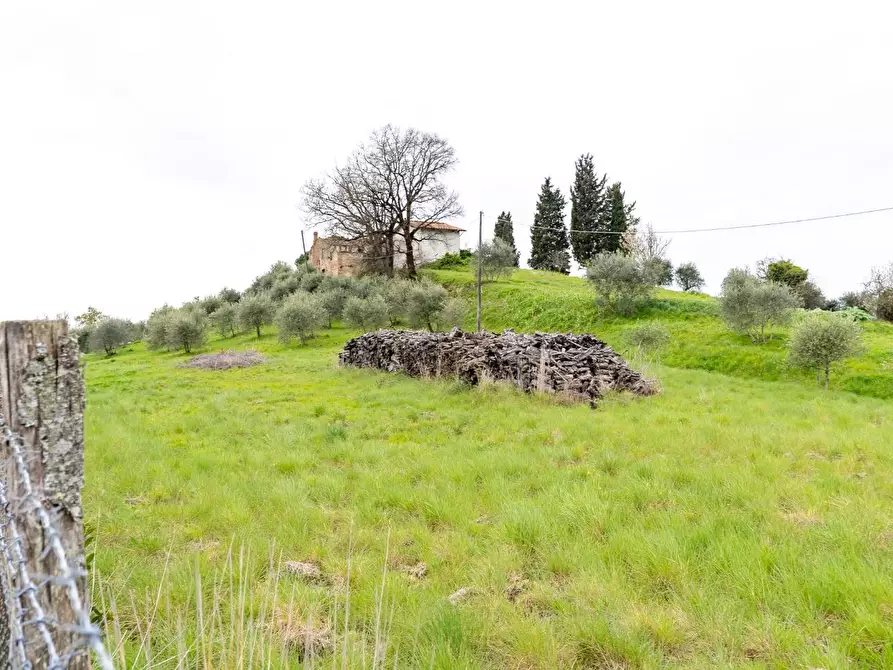Immagine 23 di Rustico / casale in vendita  a Fucecchio