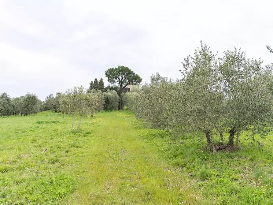 Immagine 22 di Rustico / casale in vendita  a Fucecchio