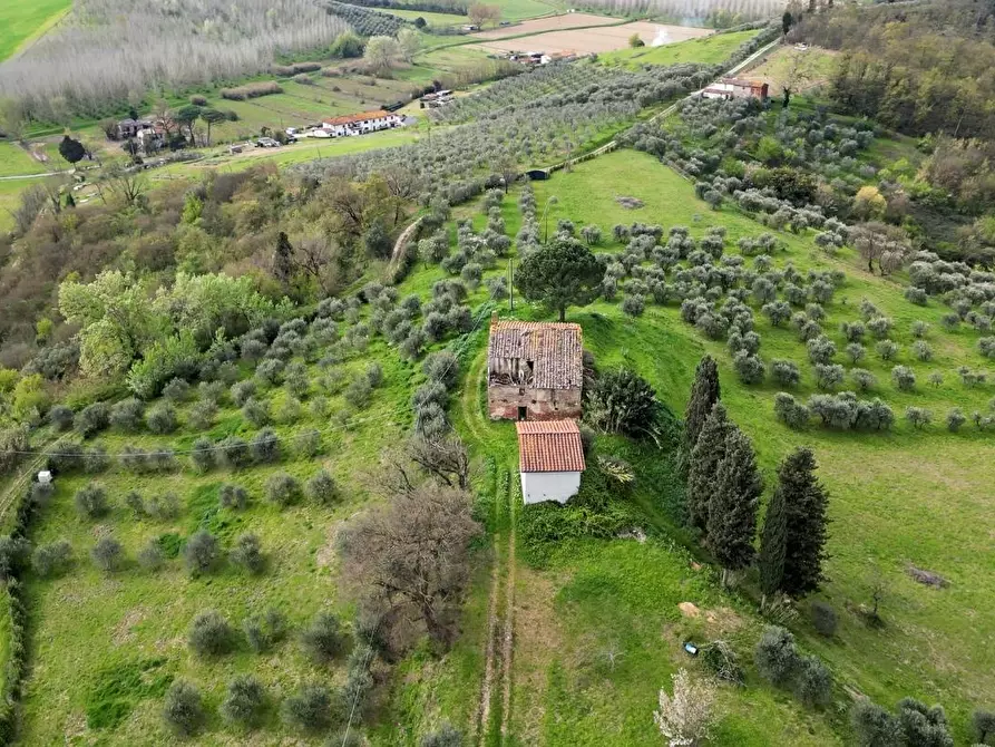 Immagine 5 di Rustico / casale in vendita  a Fucecchio
