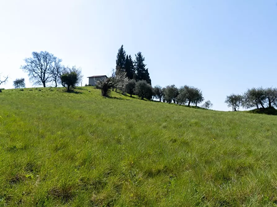 Immagine 24 di Rustico / casale in vendita  a Fucecchio