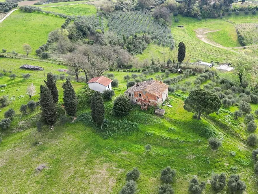 Immagine 3 di Rustico / casale in vendita  a Fucecchio