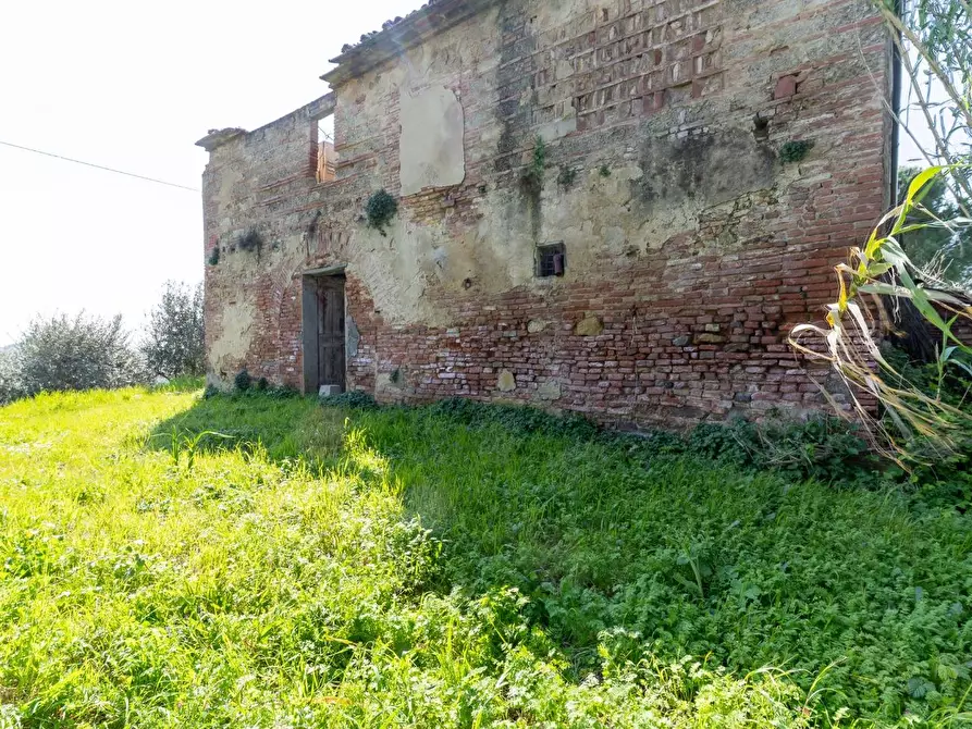 Immagine 16 di Rustico / casale in vendita  a Fucecchio