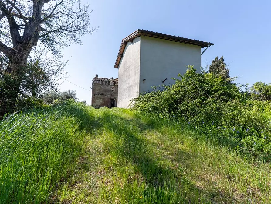 Immagine 20 di Rustico / casale in vendita  a Fucecchio