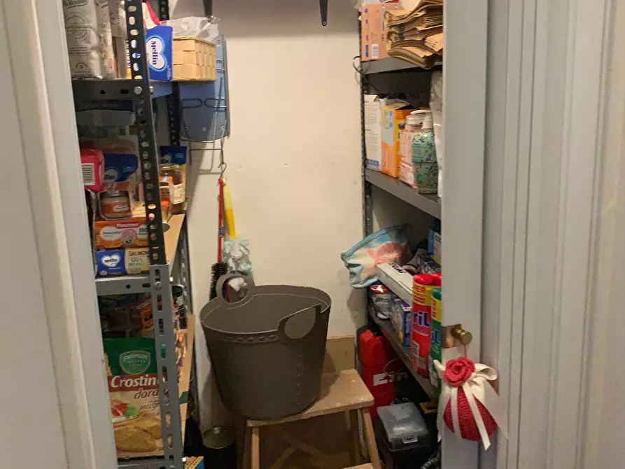 Immagine 5 di Appartamento in affitto  a Pisa