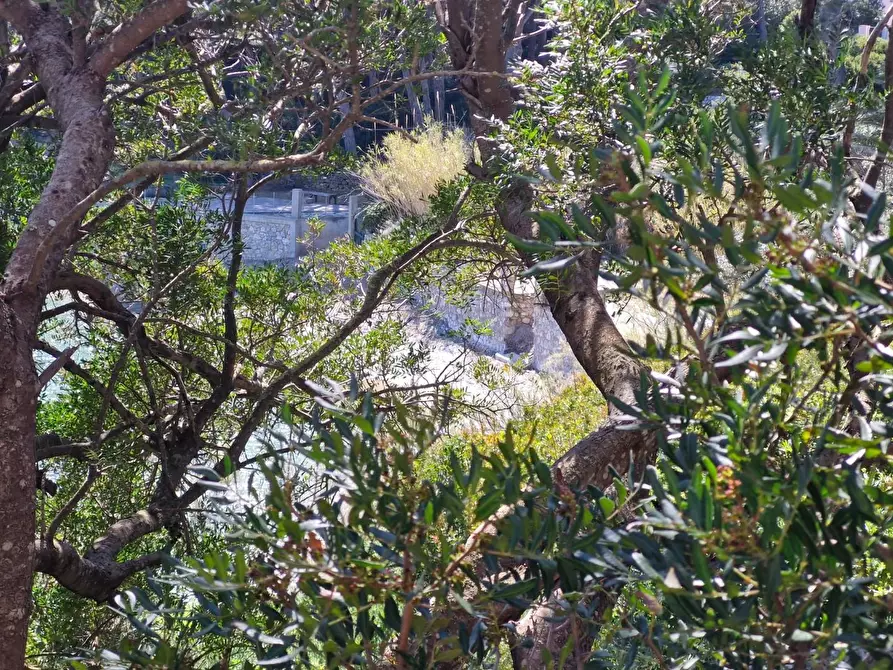 Immagine 25 di Appartamento in vendita  a Rio