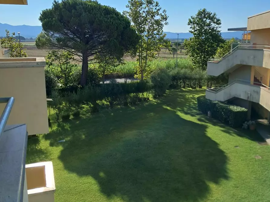 Immagine 10 di Appartamento in vendita  a Bibbona