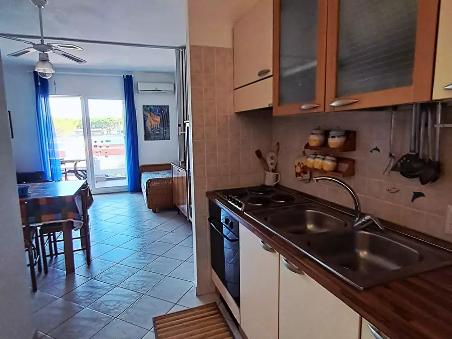 Immagine 5 di Appartamento in vendita  a Bibbona