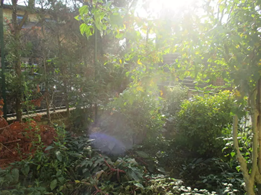 Immagine 11 di Appartamento in vendita  a Copiano