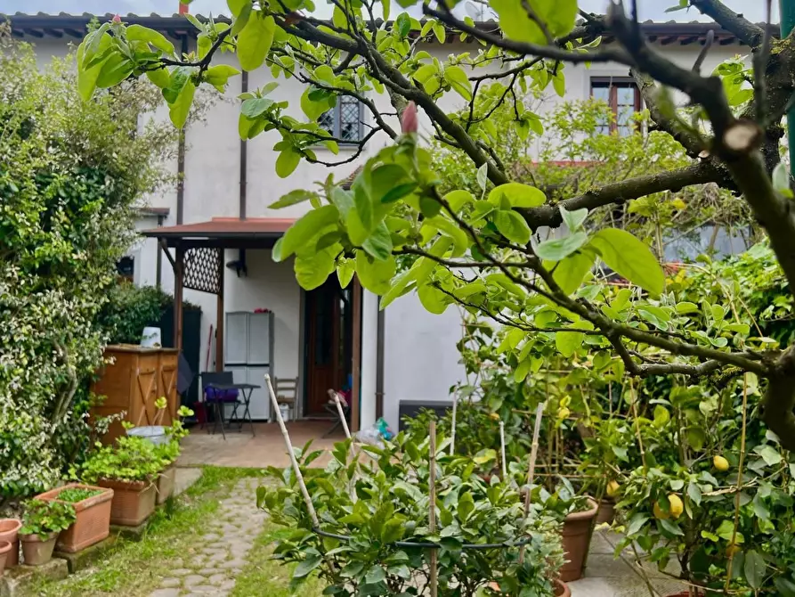 Immagine 2 di Terratetto in vendita  a Empoli