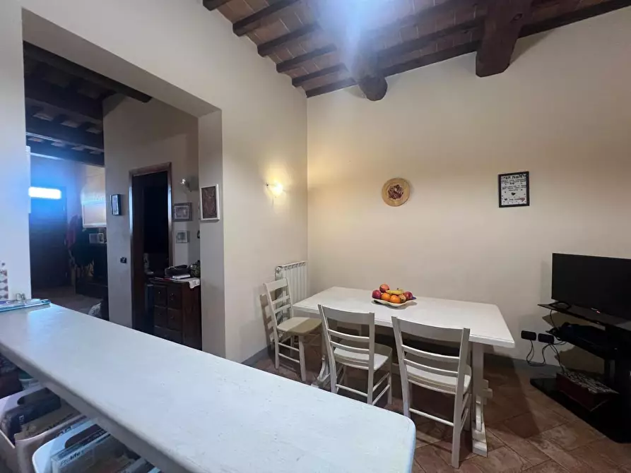 Immagine 18 di Terratetto in vendita  a Empoli