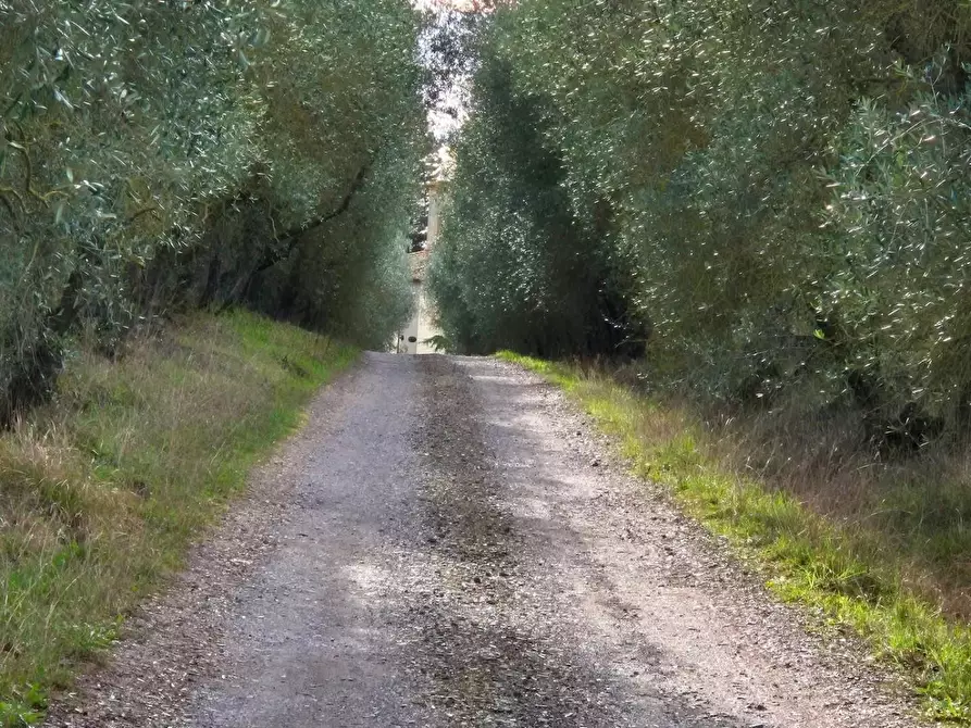 Immagine 15 di Villa in vendita  a Castelfiorentino