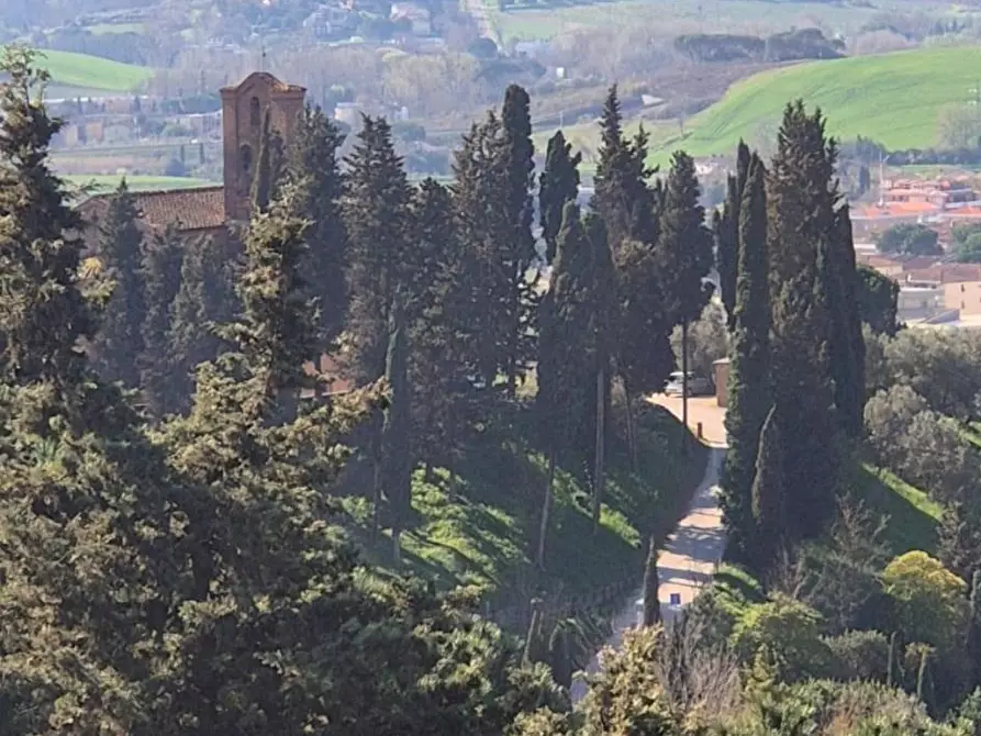 Immagine 17 di Villa in vendita  a Castelfiorentino