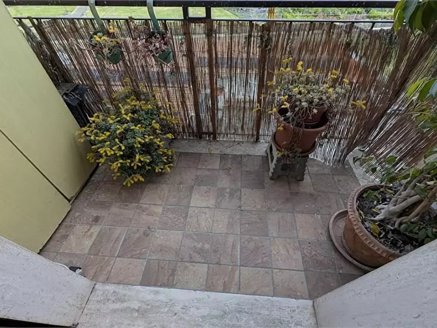 Immagine 12 di Appartamento in vendita  a Pistoia