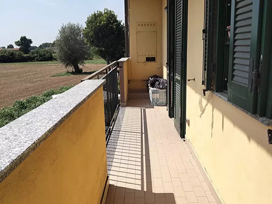 Immagine 19 di Appartamento in vendita  a Marzano