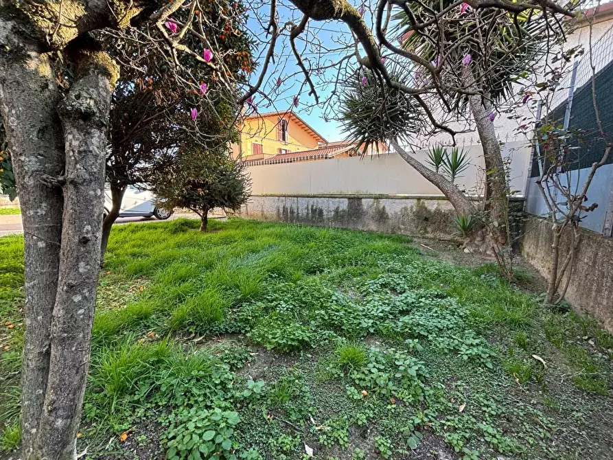 Immagine 21 di Villa in vendita  a Massa