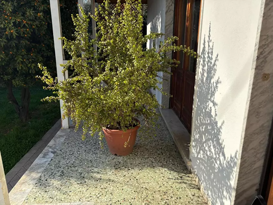 Immagine 2 di Villa in vendita  a Massa