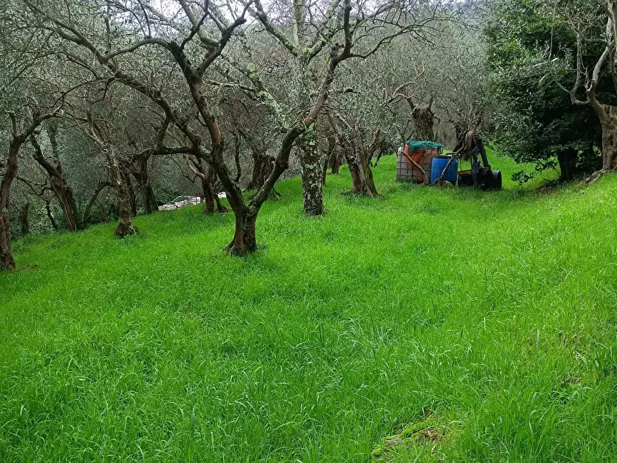 casale in vendita a Cascina