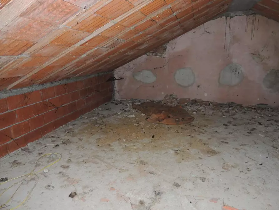 Immagine 19 di Rustico / casale in vendita  a Pieve Albignola