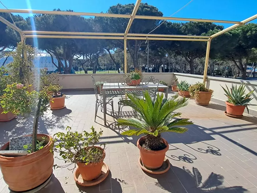 Immagine 2 di Appartamento in vendita  a Rosignano Marittimo