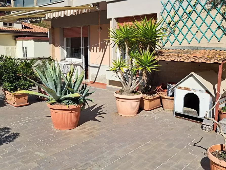 Immagine 19 di Appartamento in vendita  a Rosignano Marittimo