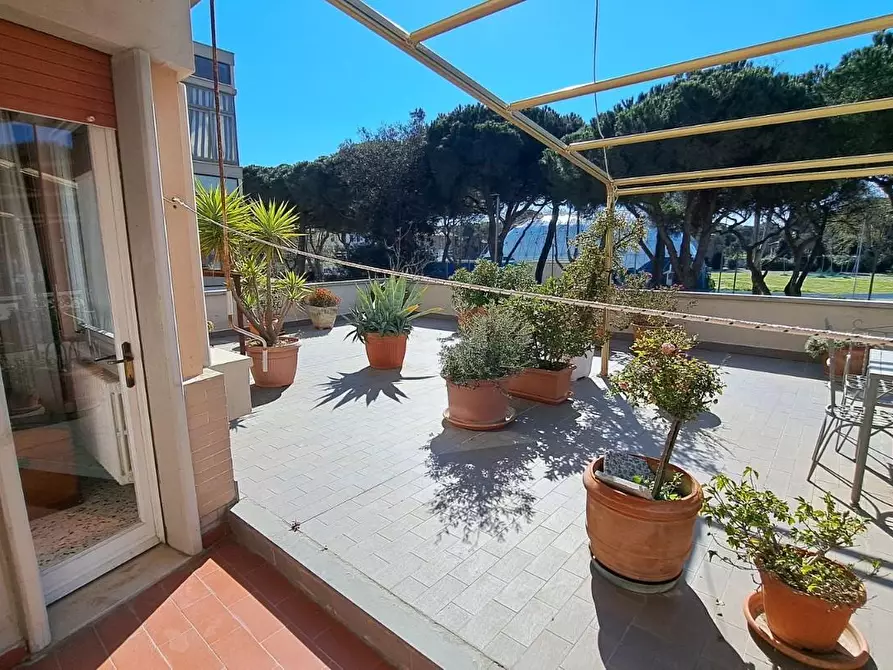 Immagine 18 di Appartamento in vendita  a Rosignano Marittimo