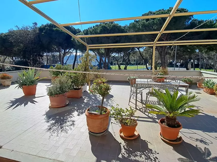 Immagine 3 di Appartamento in vendita  a Rosignano Marittimo