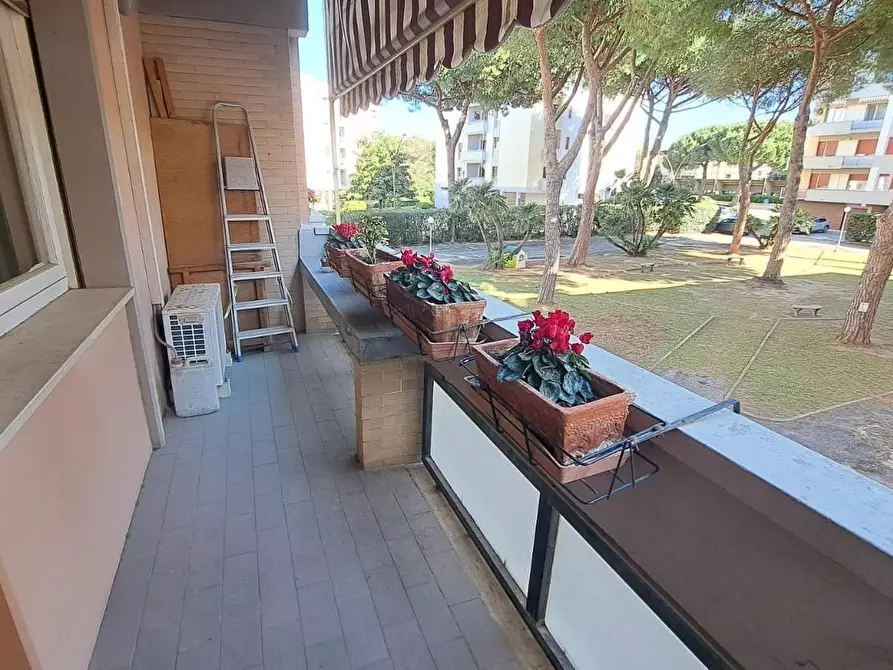 Immagine 16 di Appartamento in vendita  a Rosignano Marittimo