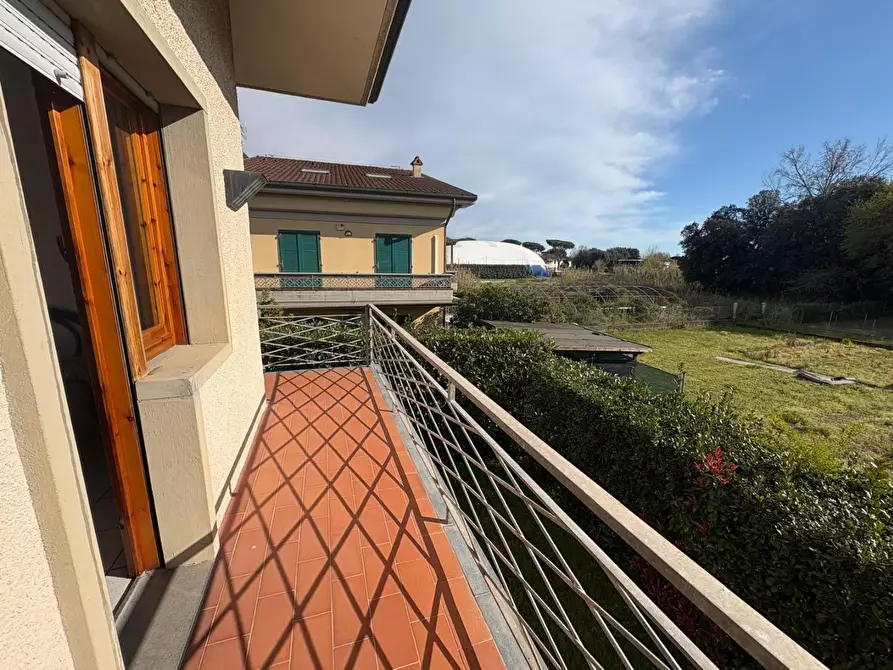 Immagine 15 di Villetta a schiera in vendita  a Massa