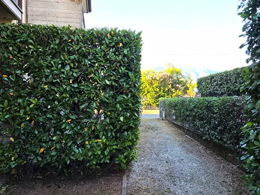 Immagine 27 di Villetta a schiera in vendita  a Massa