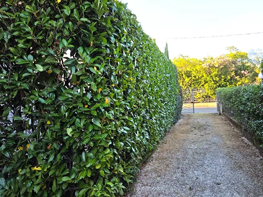 Immagine 30 di Villetta a schiera in vendita  a Massa