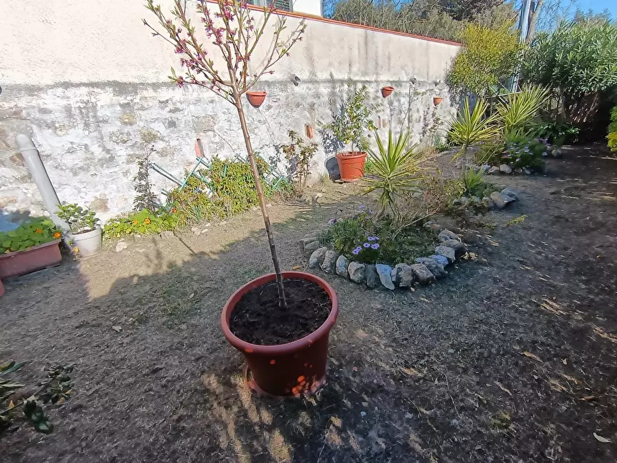 Immagine 5 di Villa in vendita  a Livorno